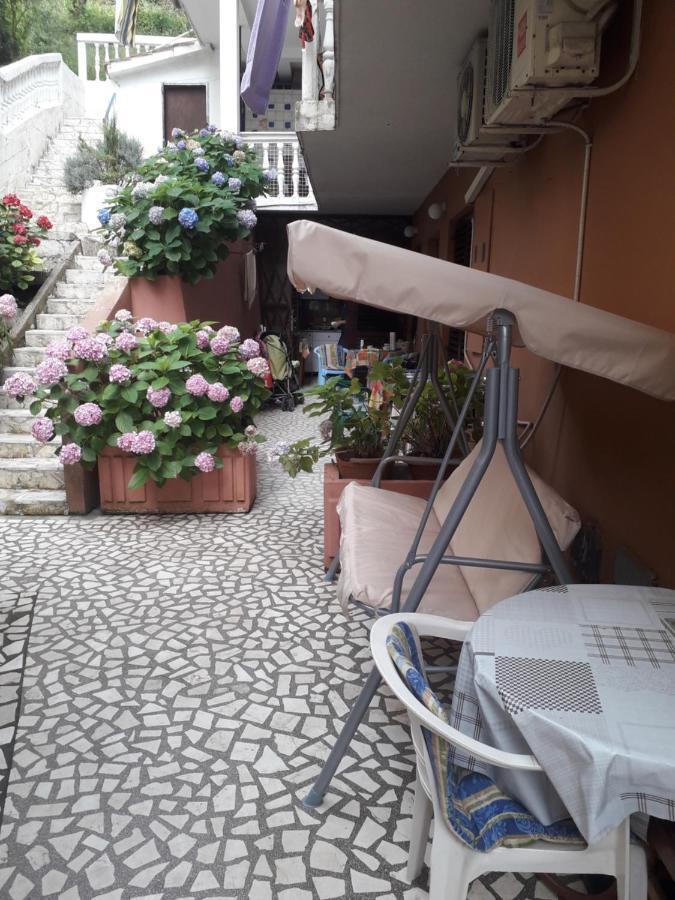 Sandra Budva